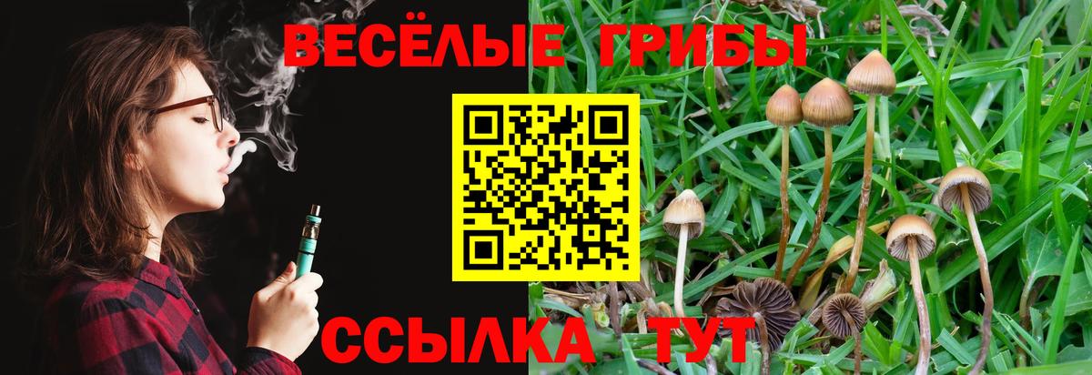 Югорск  Галлюциногенные грибы Magic Shrooms  Вход с VPN 